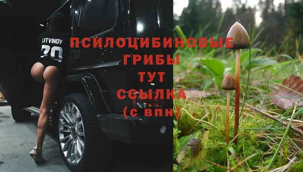 гидропоника Армянск