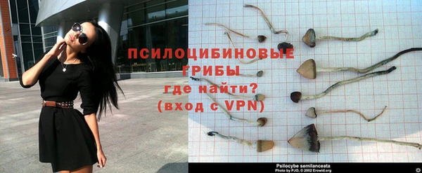 Альфа ПВП Аркадак
