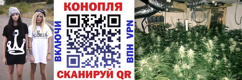 купить закладку  Пласт  Бошки Шишки гибрид 